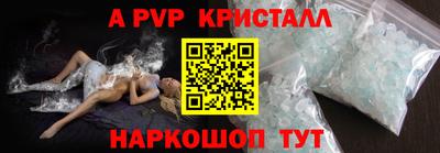 стафф Заводоуковск
