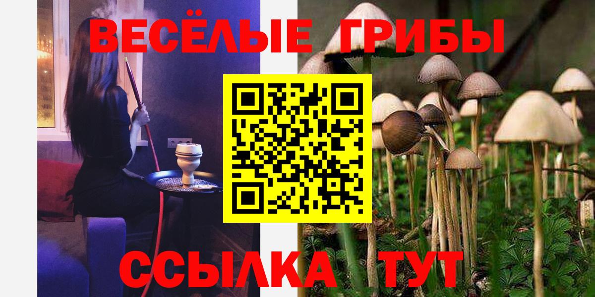 где найти наркотики  Псилоцибиновые грибы Cubensis  Вход с VPN  Псилоцибиновые грибы Cubensis  Кыштым 